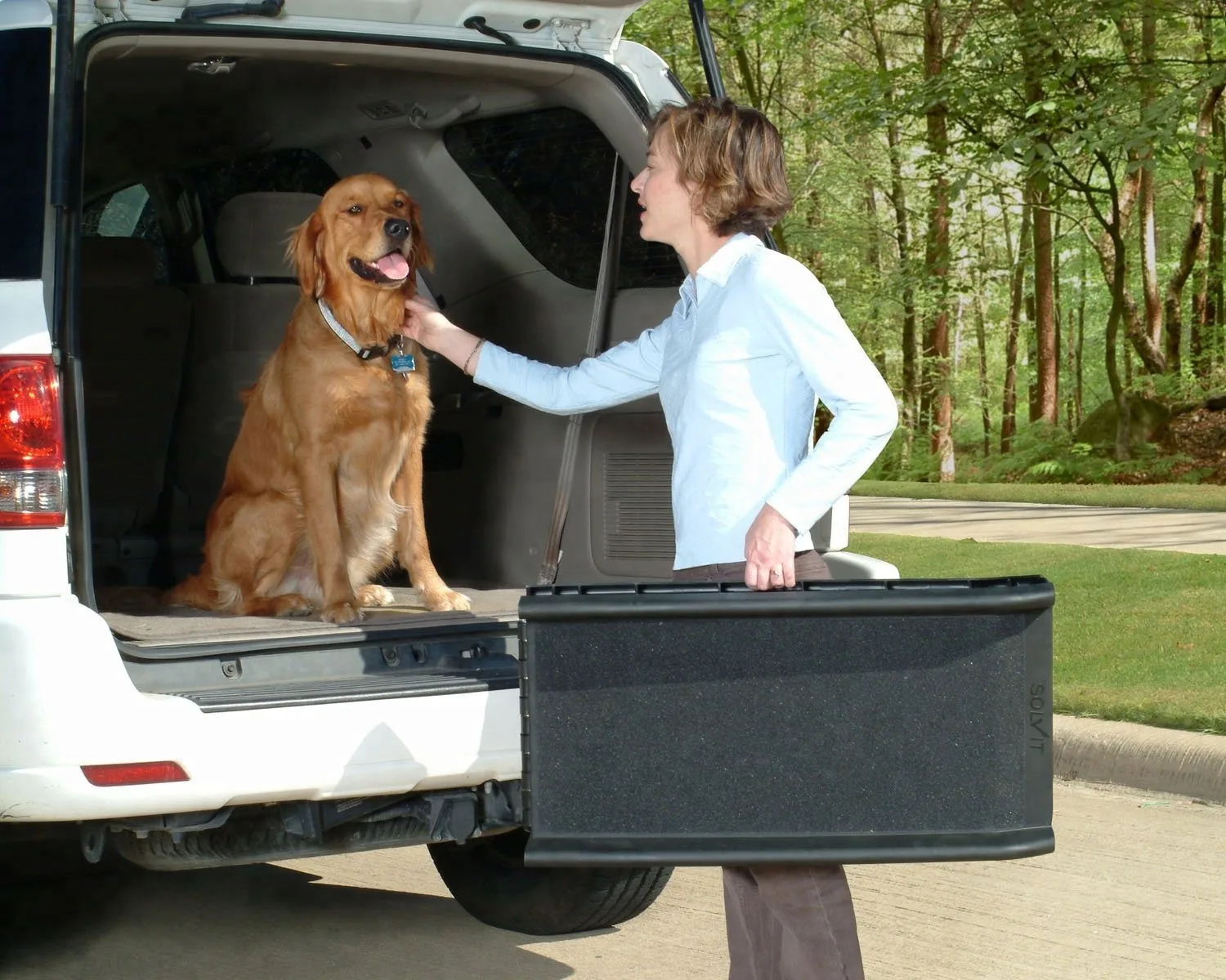 Common Mistakes to Avoid When Planning Long Distance Pet Transport